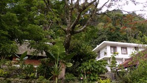 A white building with a thatched roof, surrounded by lush greenery and trees. - Finca Santa Mónica (Xilitla)