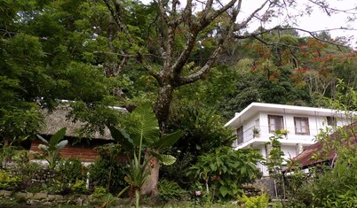 Finca Santa Mónica