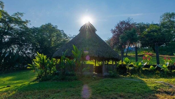 A thatched-roof hut with a path leading to it, surrounded by lush greenery and trees. - Finca Santa Mónica (Xilitla)