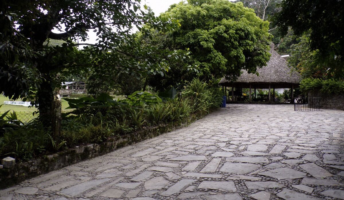 A stone pathway leading to a thatched-roof structure surrounded by lush greenery.