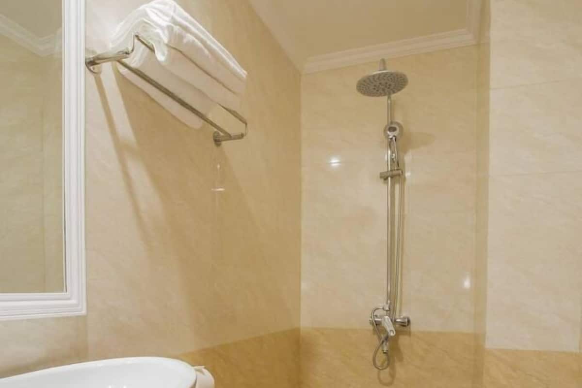 Une salle de bain avec des toilettes blanches, un lavabo doté d’un plan de travail en marbre et une douche avec un pommeau de douche à main.