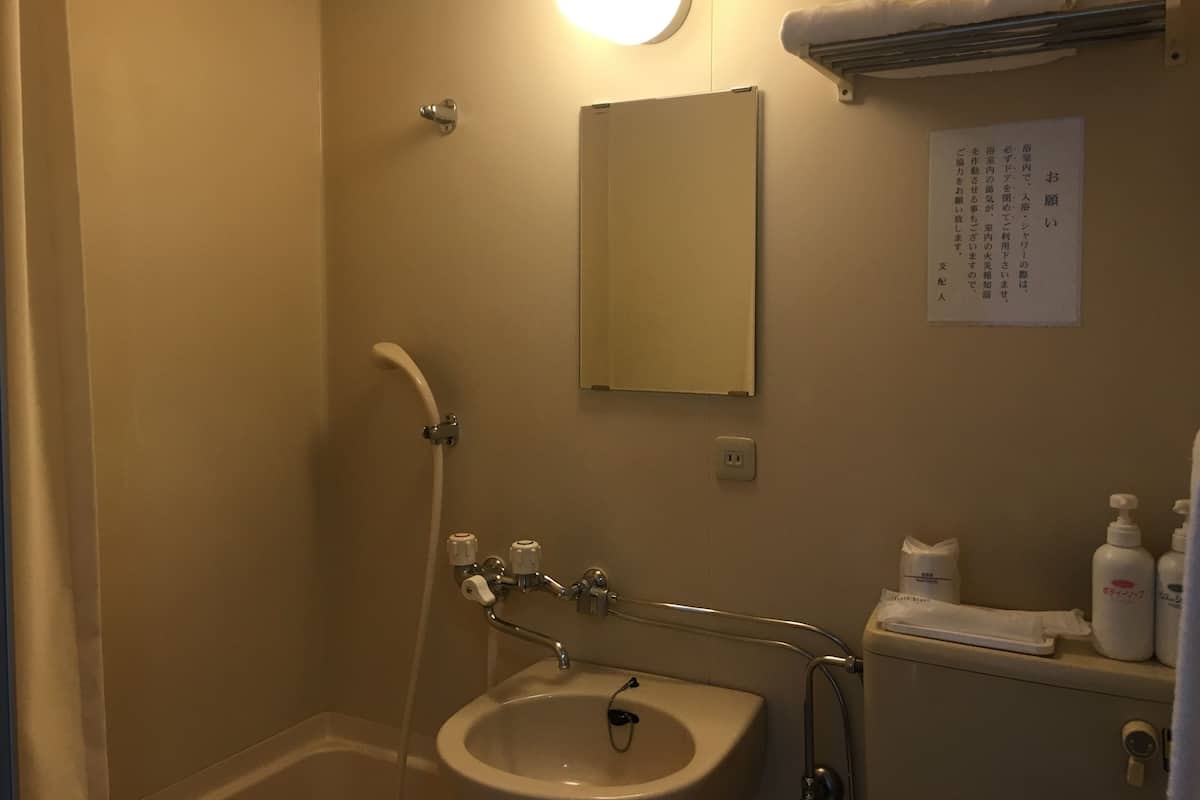 Casa de banho com lavatório, espelho, chuveiro e porta-toalhas.