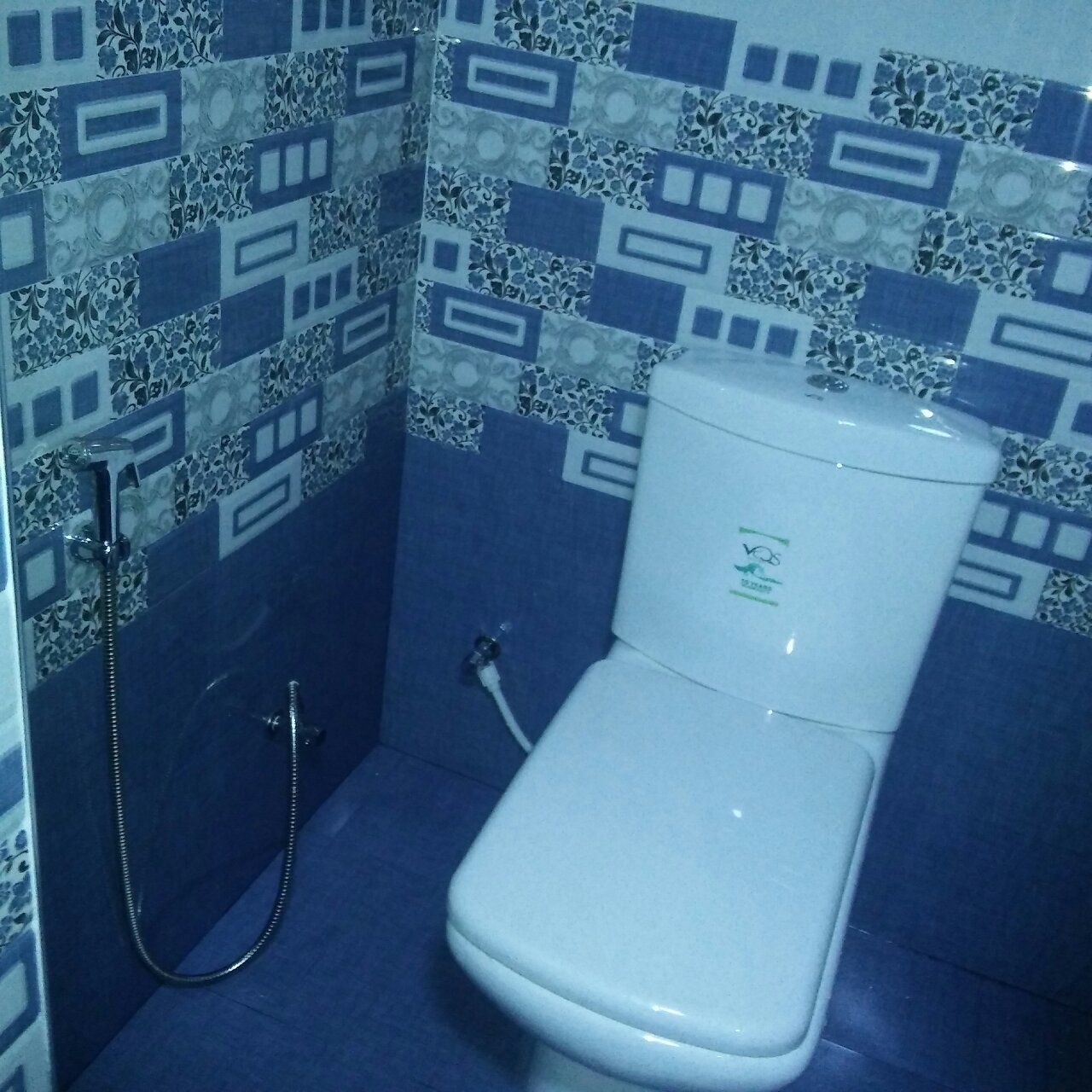 A bathroom with a toilet, shower, and blue patterned tiles.