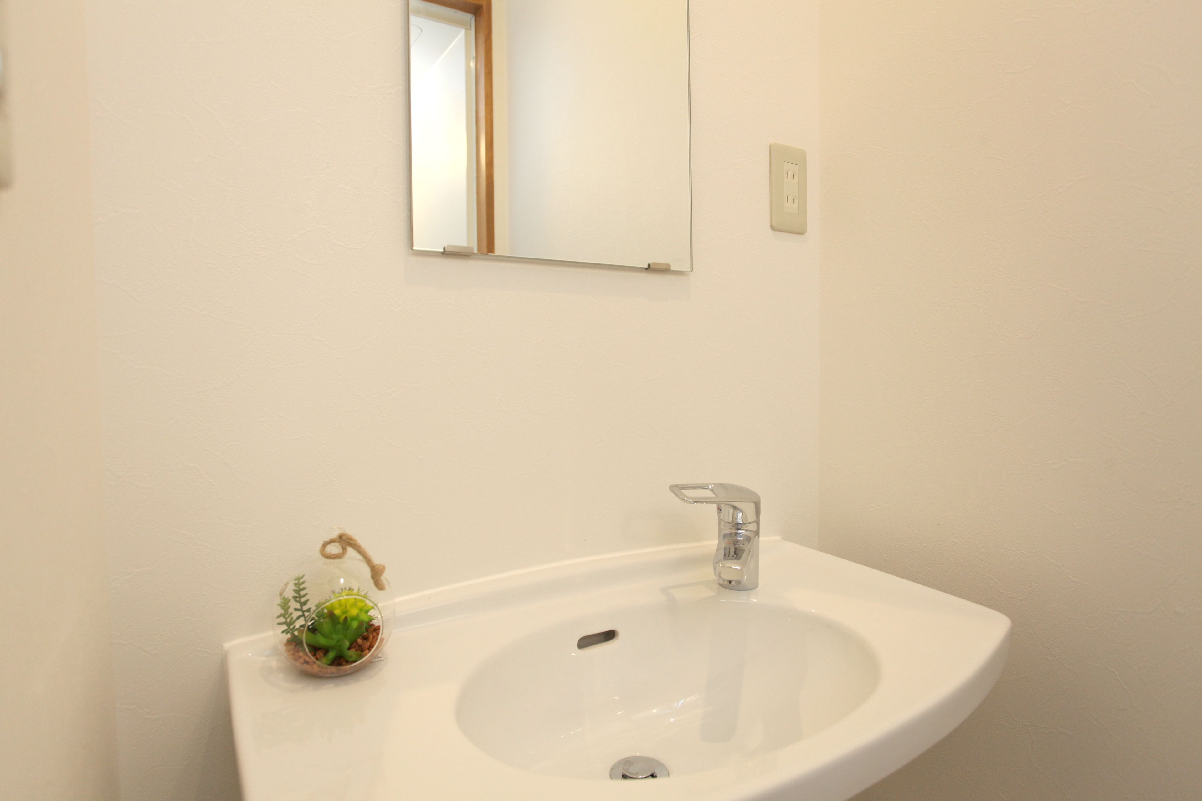 A bathroom with a white sink, a mirror above it, and a small plant on the sink's edge.