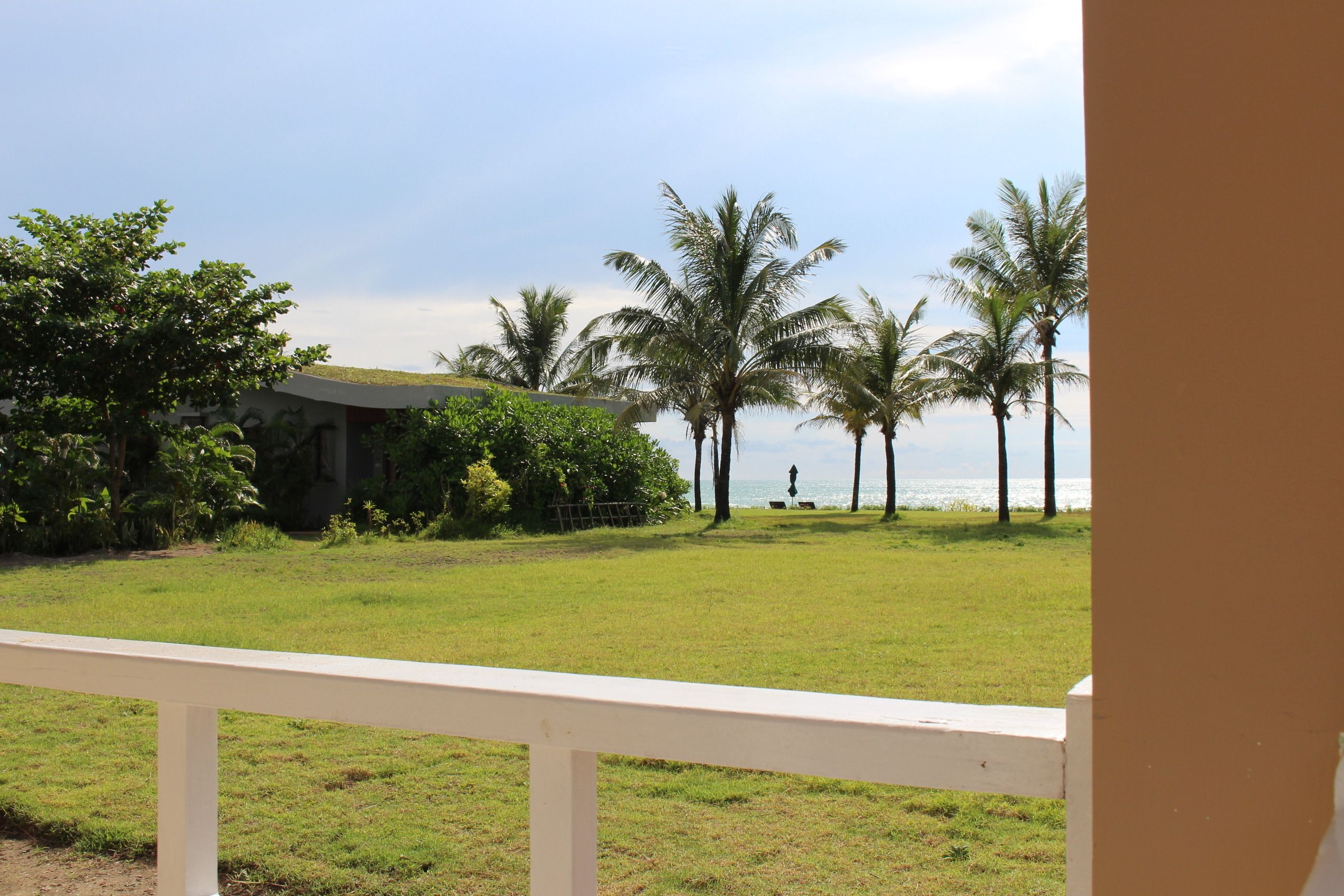 A grassy area with palm trees and a building in the background.