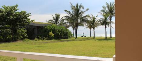 A grassy area with palm trees and a building in the background.