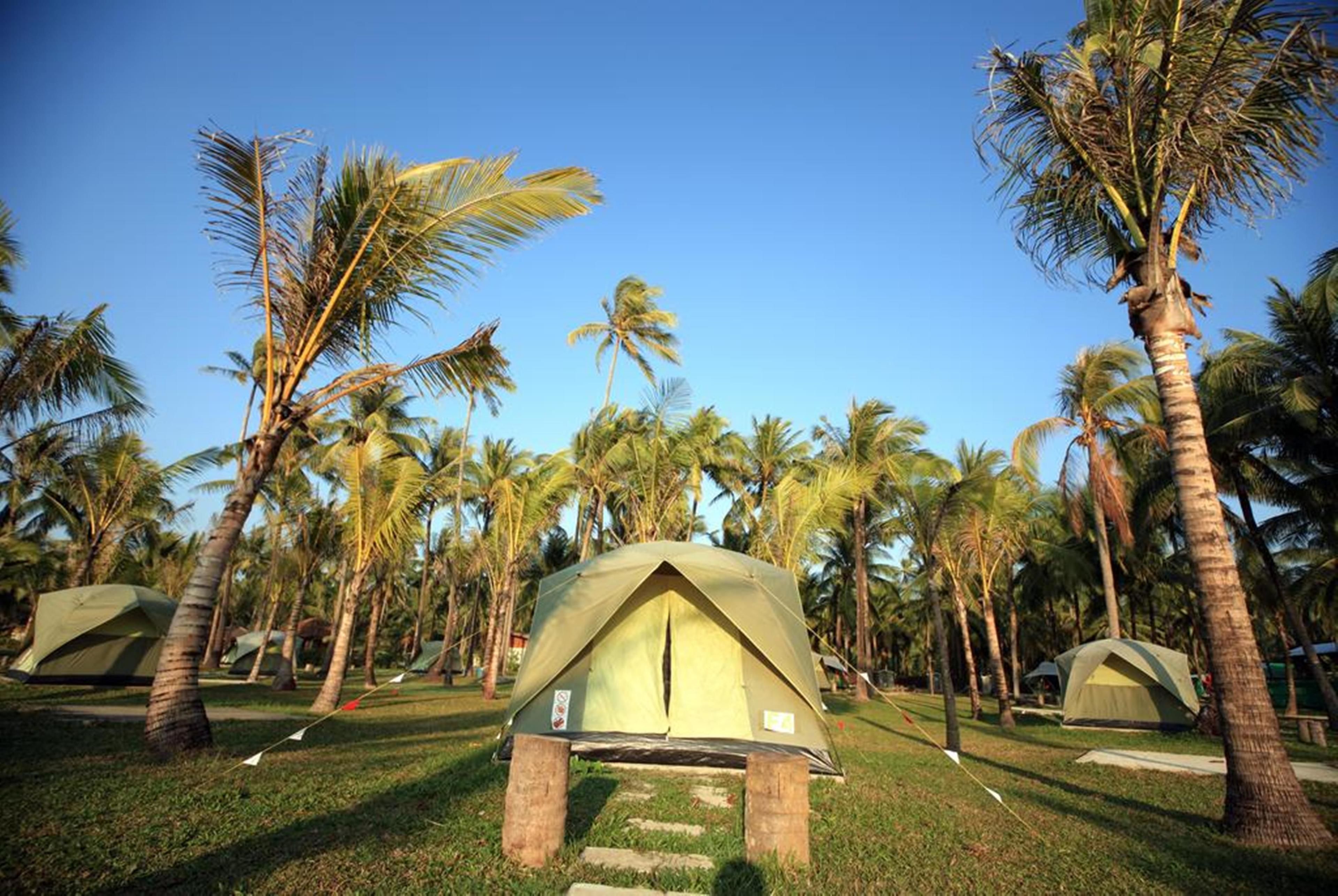 Telt (2 Adults) | Gratis Wi-Fi