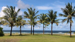 A beach with palm trees and the ocean. - Ocean Front Campgrounds (Ngwe Saung)