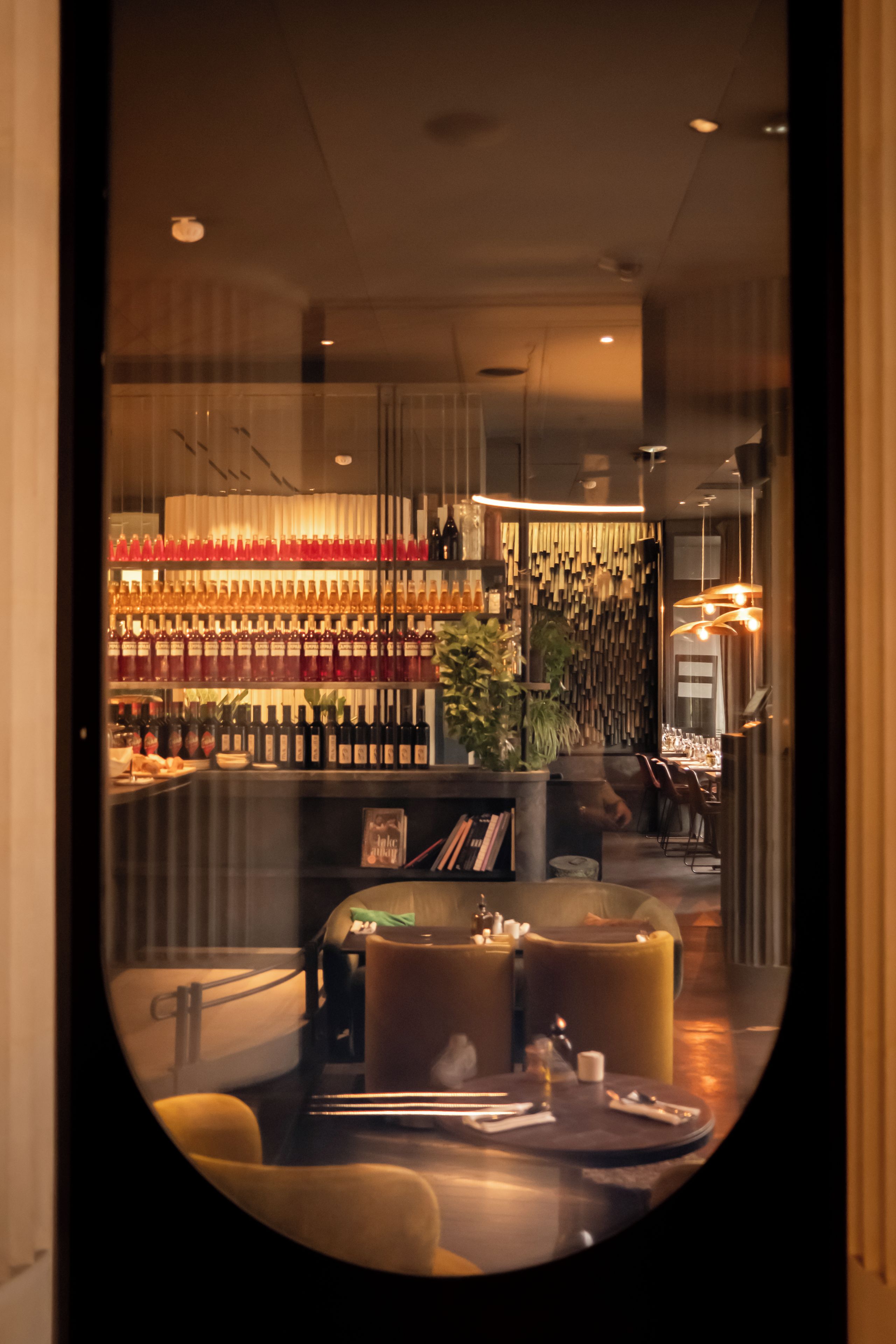 A bar area with shelves of bottles, seating, and a plant.