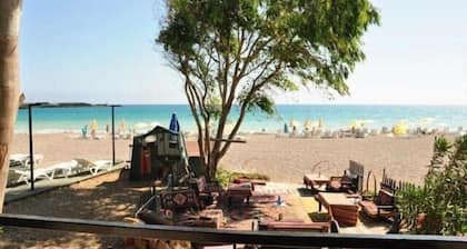 Avalon Beach Hotel - All Inclusive