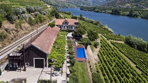 A vineyard with rows of grapevines, a swimming pool, and a building with a red roof. - Quinta de S. Bernardo Winery & Farmhouse (Mesão Frio)