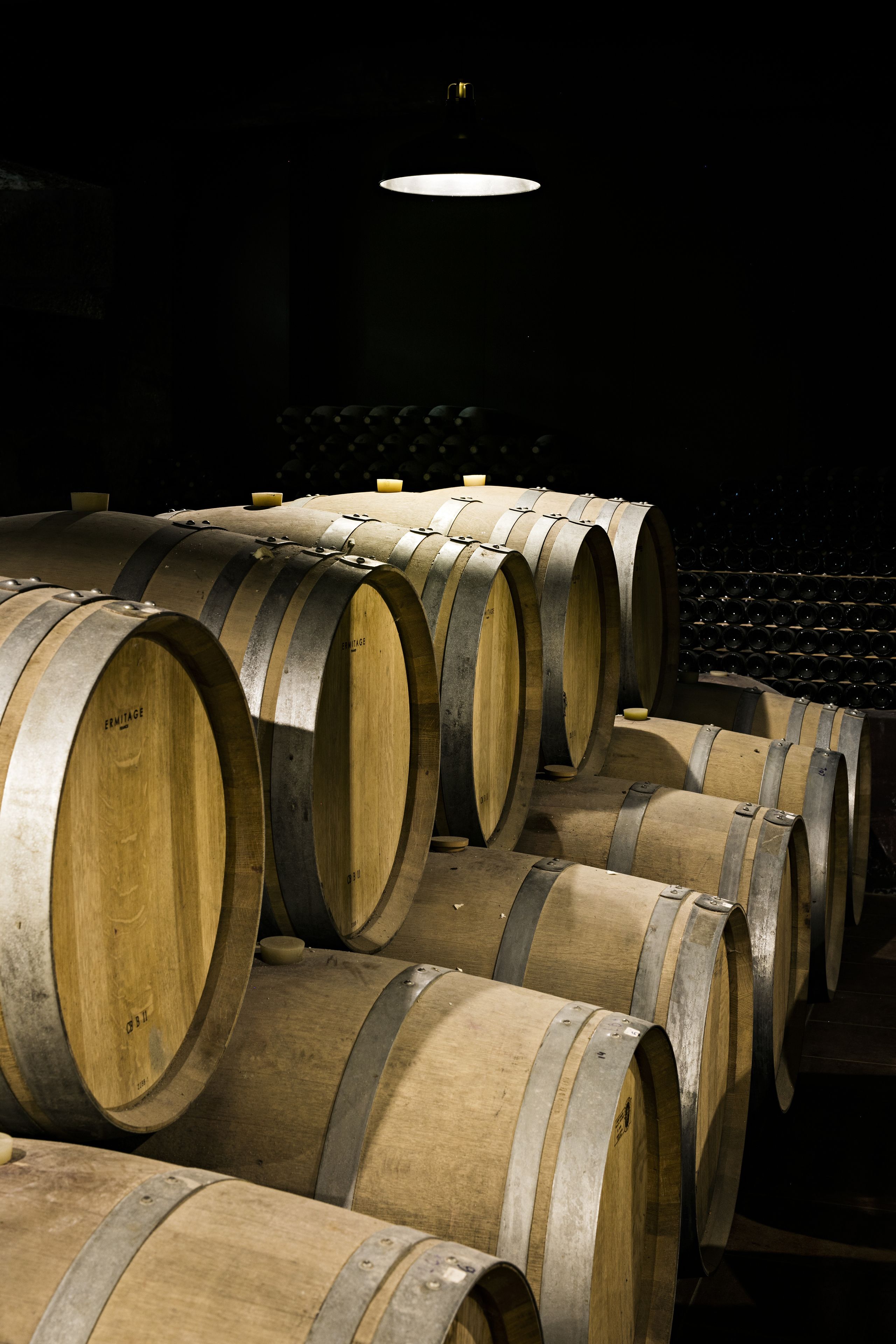 Foto - Quinta de S. Bernardo Winery & Farmhouse