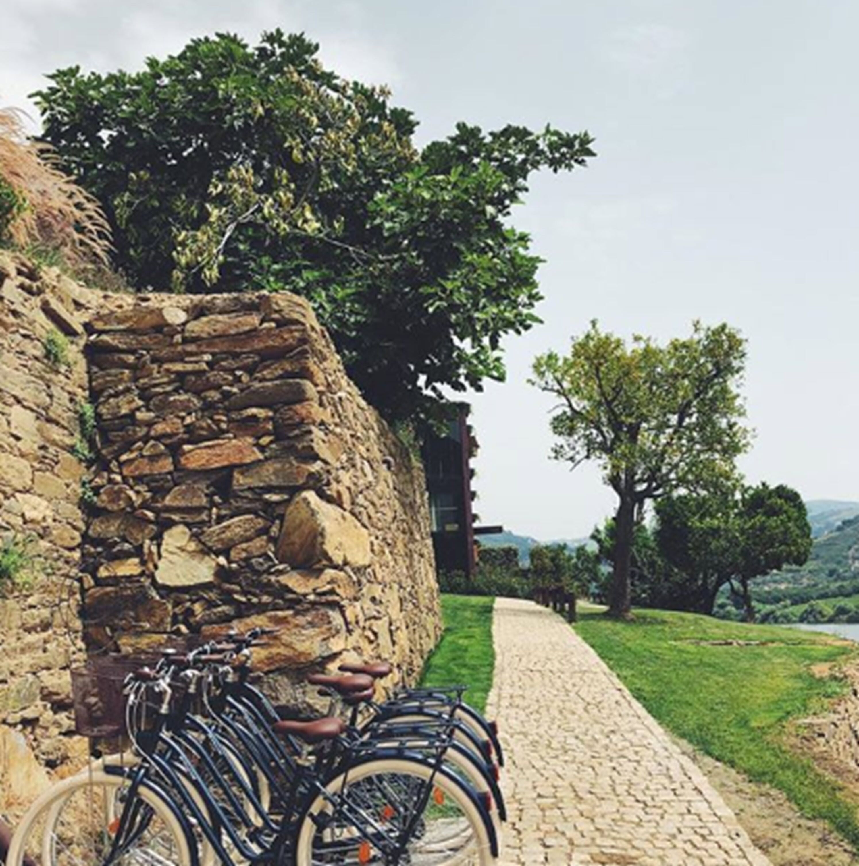 Foto - Quinta de S. Bernardo Winery & Farmhouse