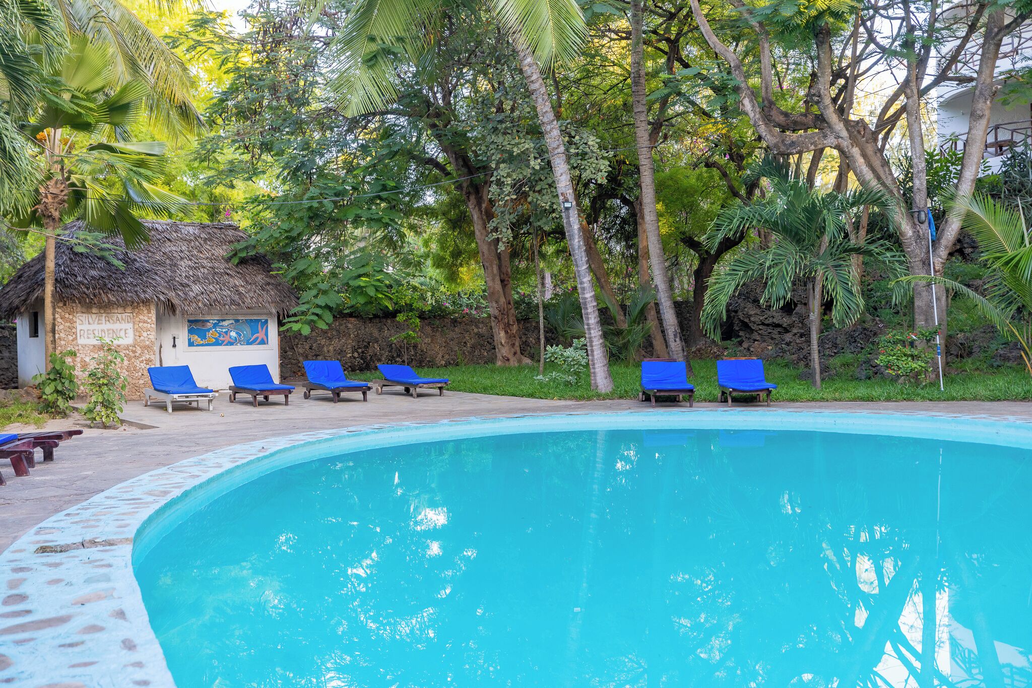 Una piscina al aire libre, sillones reclinables de piscina