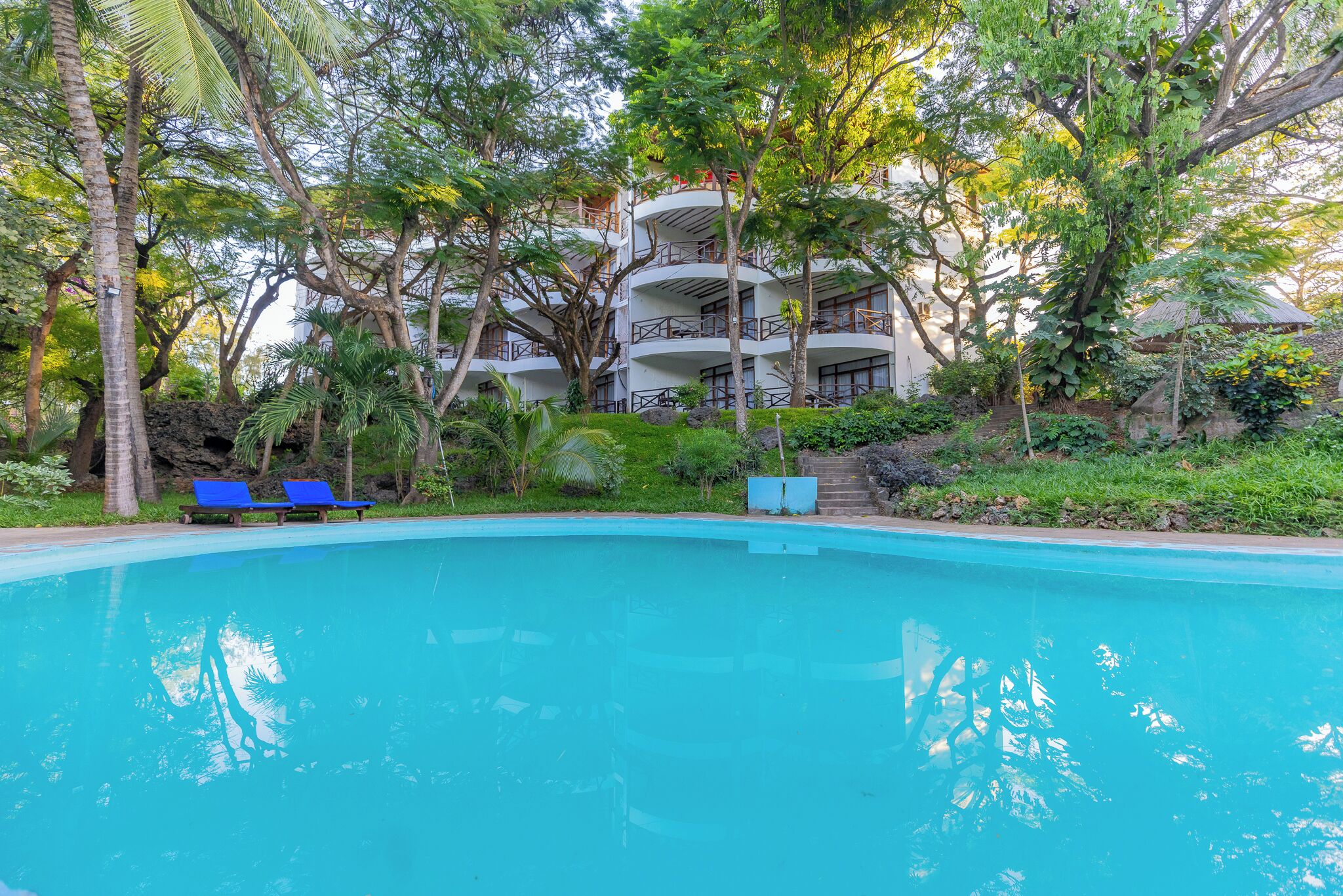 室外游泳池，日光浴躺椅