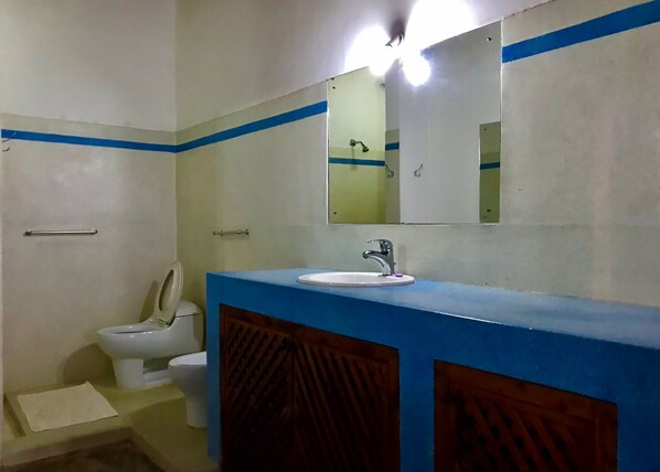 Appartement Confort, 1 chambre, vue plage, en front de plage | Salle de bain | Douche, articles de toilette gratuits, bidet, serviettes fournies