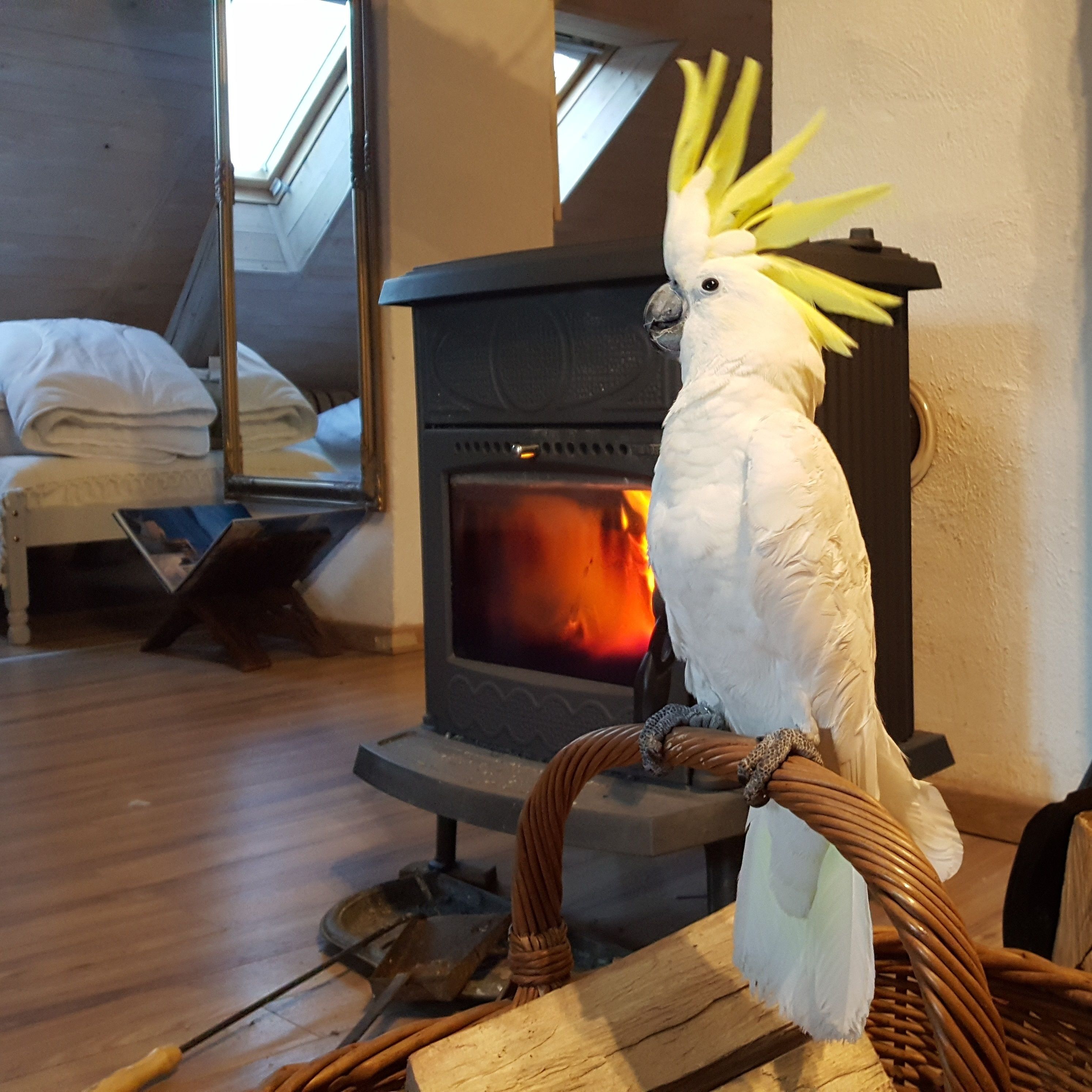 Foto - Anastasia Suites Zagreb