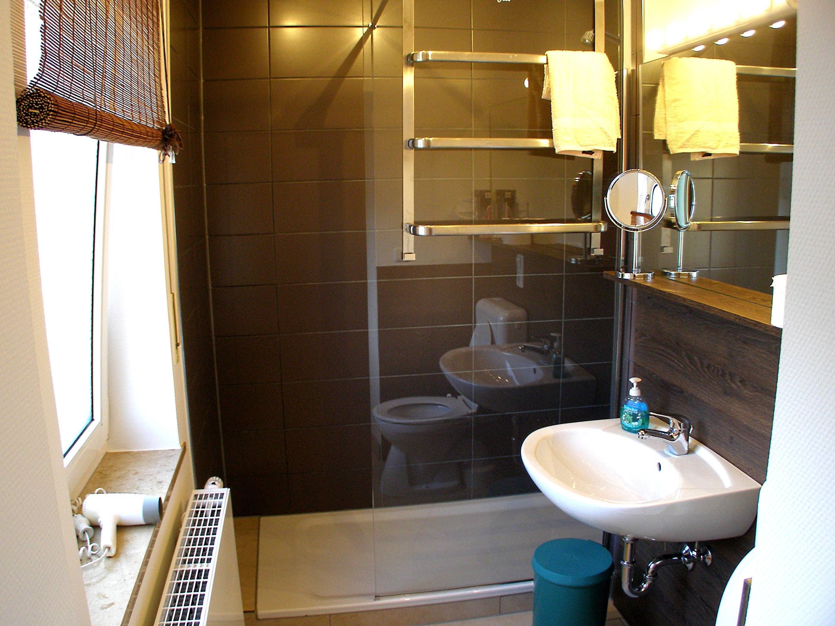 standard single room | bathroom | shower, free toiletries, hair dryer, towels