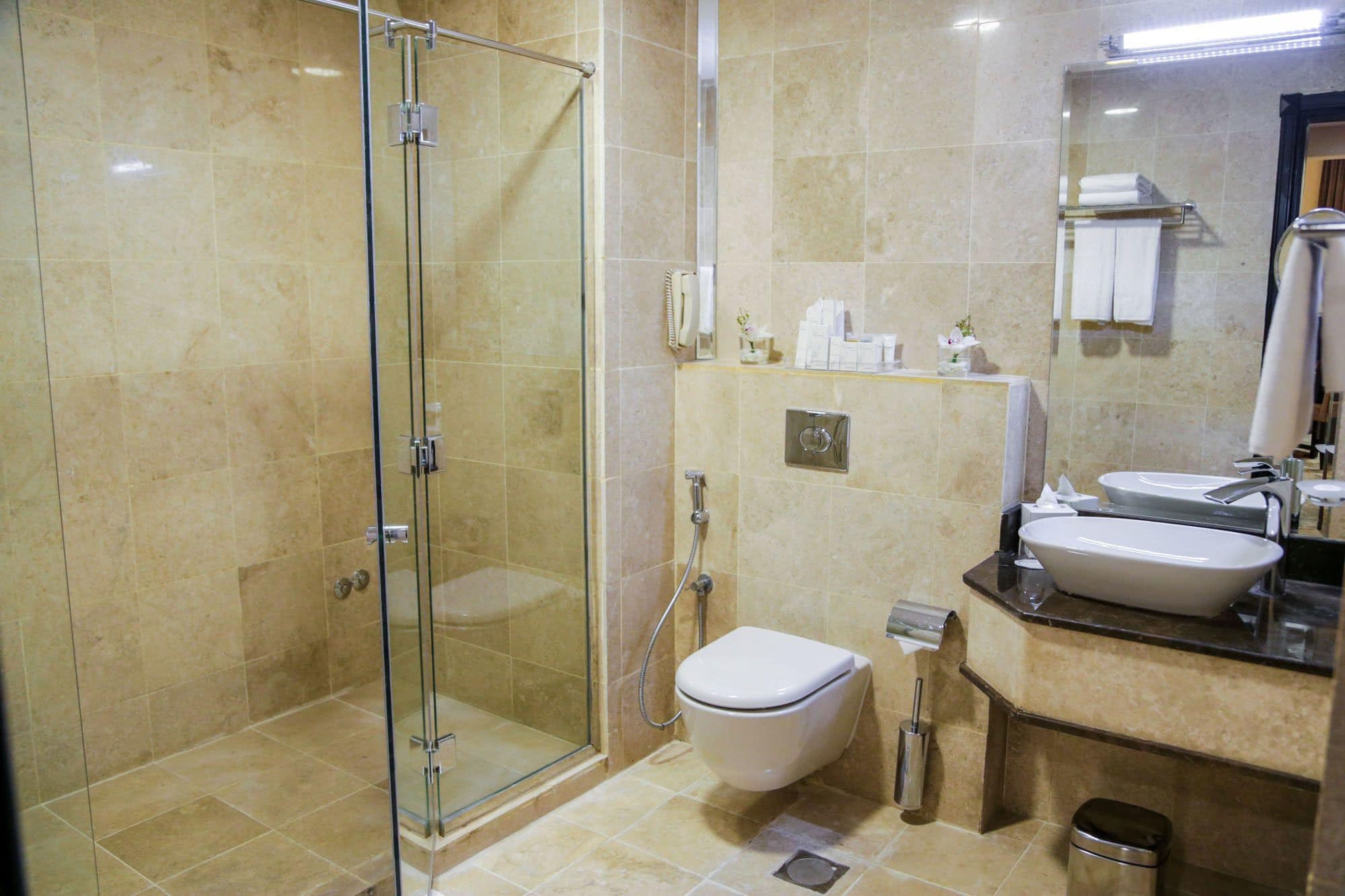 A modern bathroom with a glass-enclosed shower, a toilet, a sink, and a mirror.