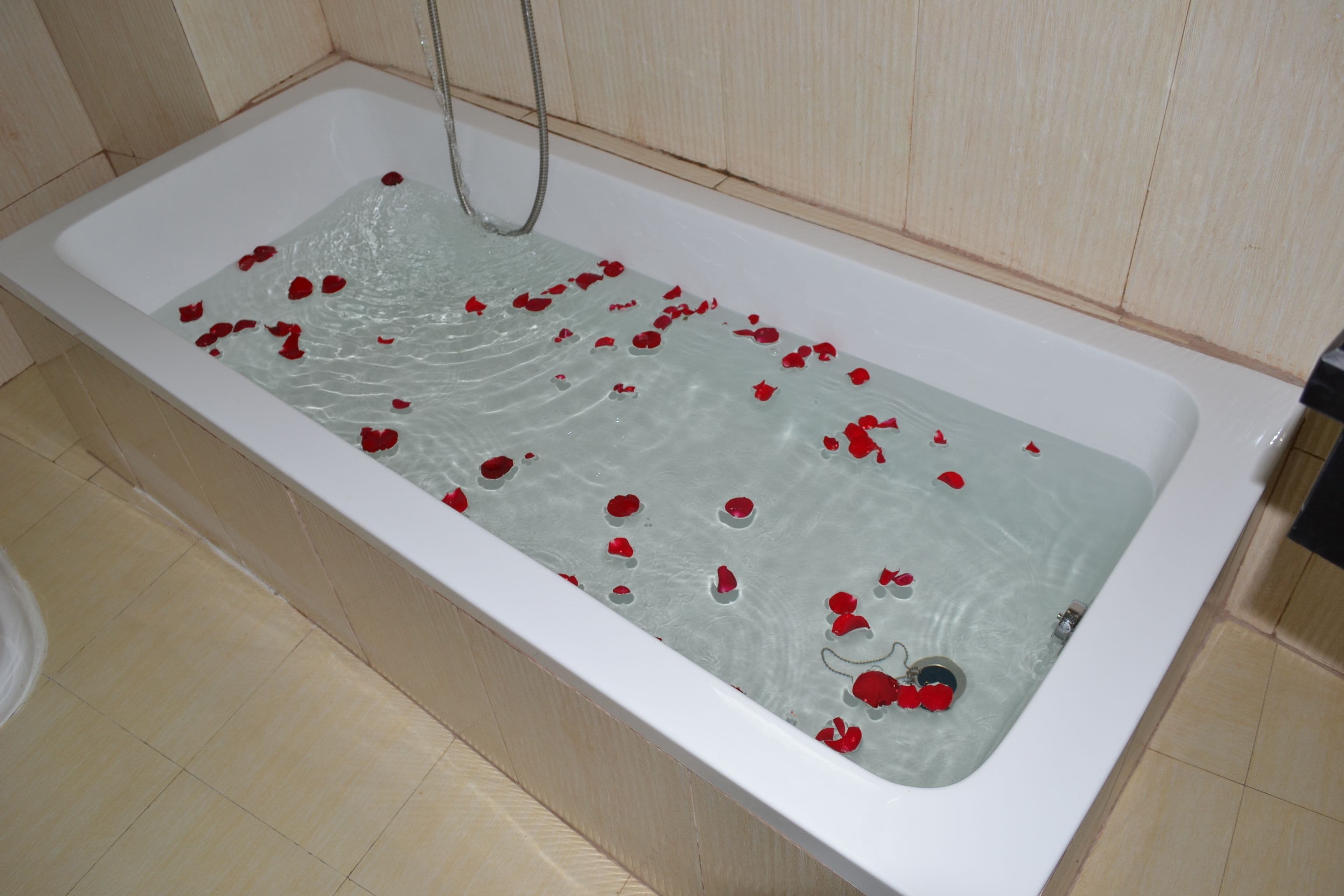 A bathtub with water and rose petals.