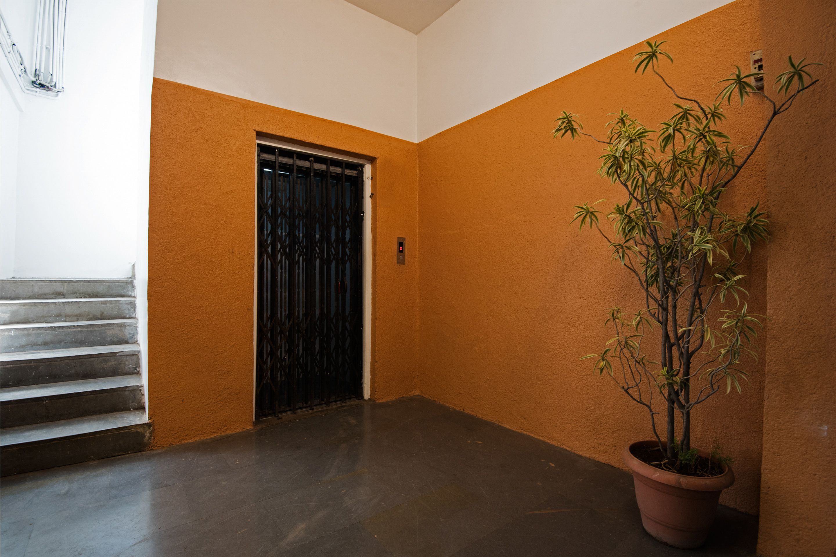 Foto - HMR Hotels - Hotel HMR Royal Inn
