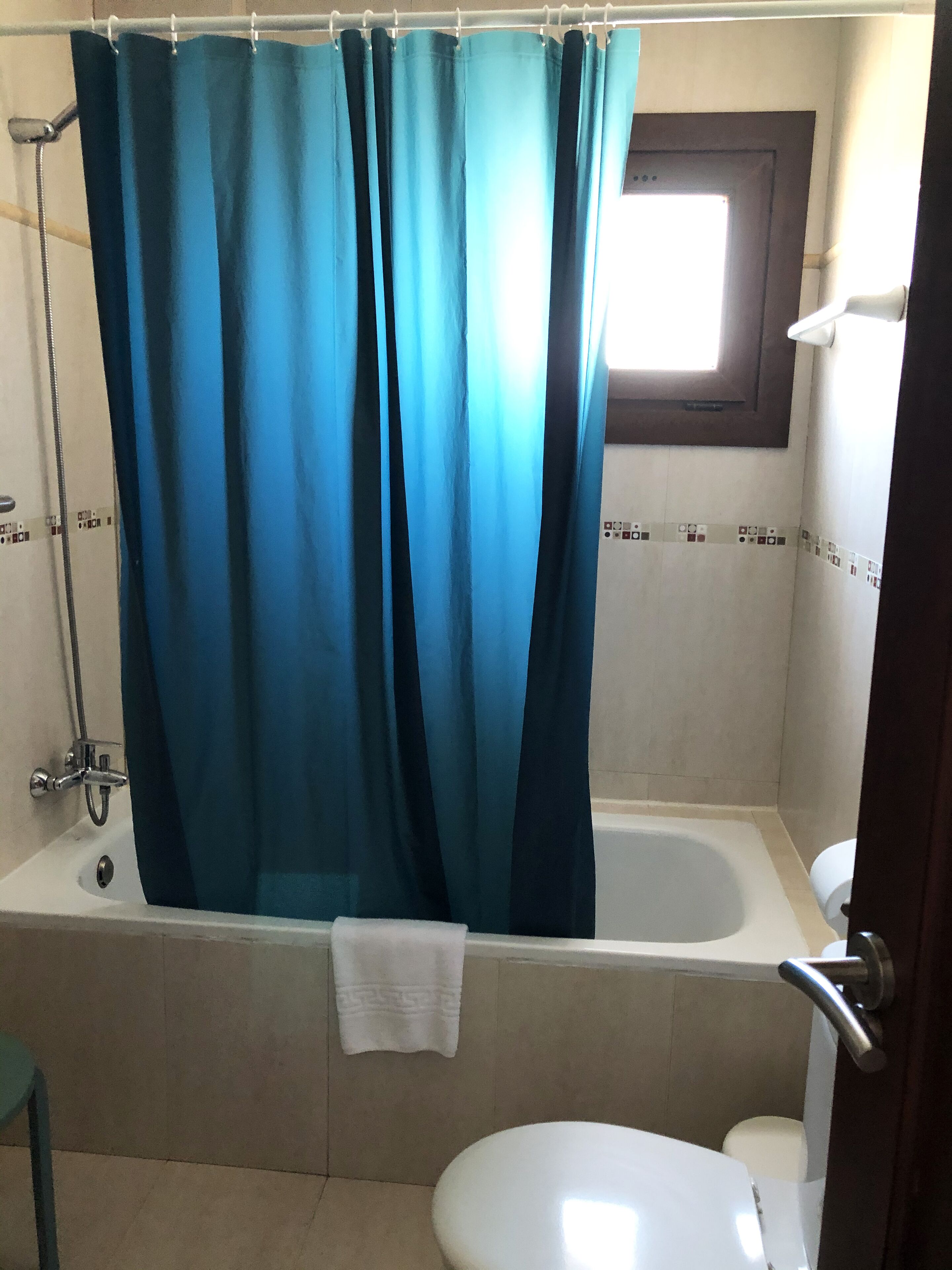 Een badkamer met een bad, een douche en een toilet.