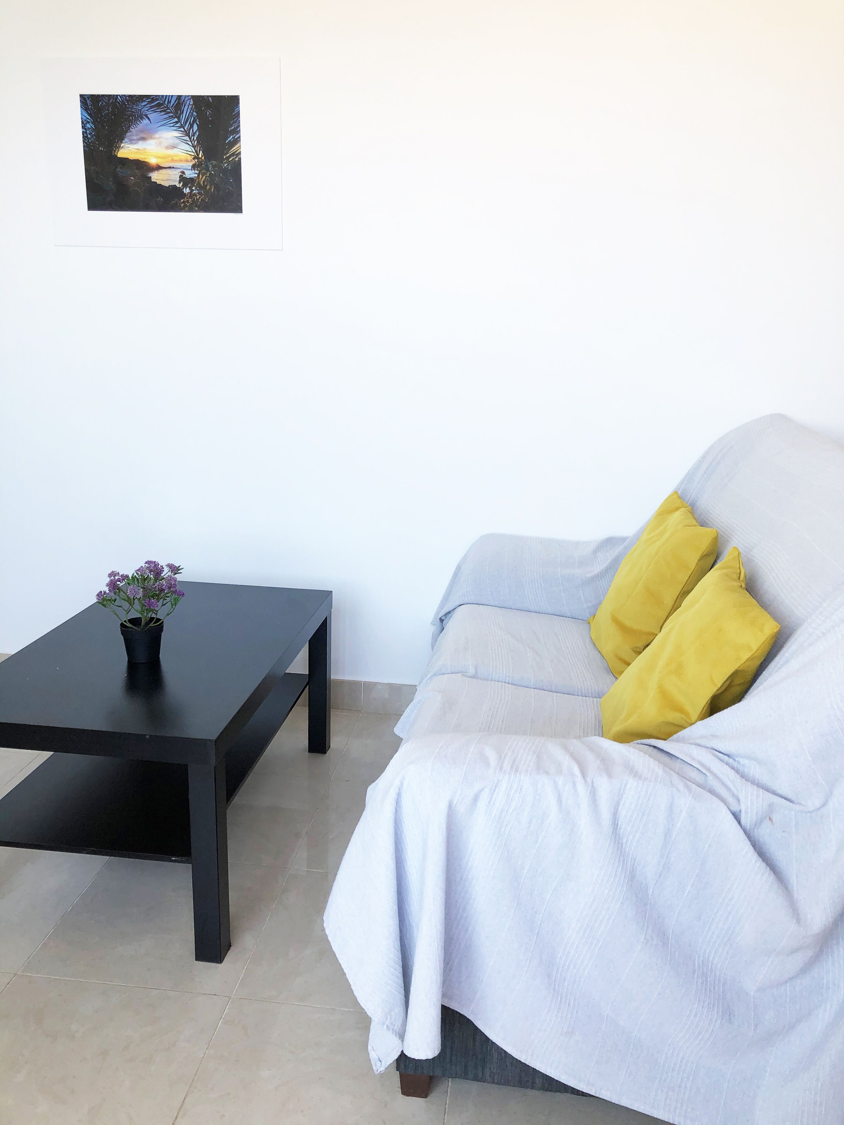 A room with a light-colored sofa, a black coffee table with a potted plant, and a framed picture on the wall.