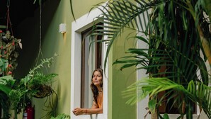 A room with a window, a green wall, and various plants around. - Hotel Recanto da Mata (Tibau do Sul)