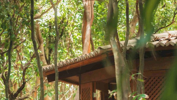 A wooden structure with a tiled roof, surrounded by dense foliage. - Hotel Recanto da Mata (Tibau do Sul)
