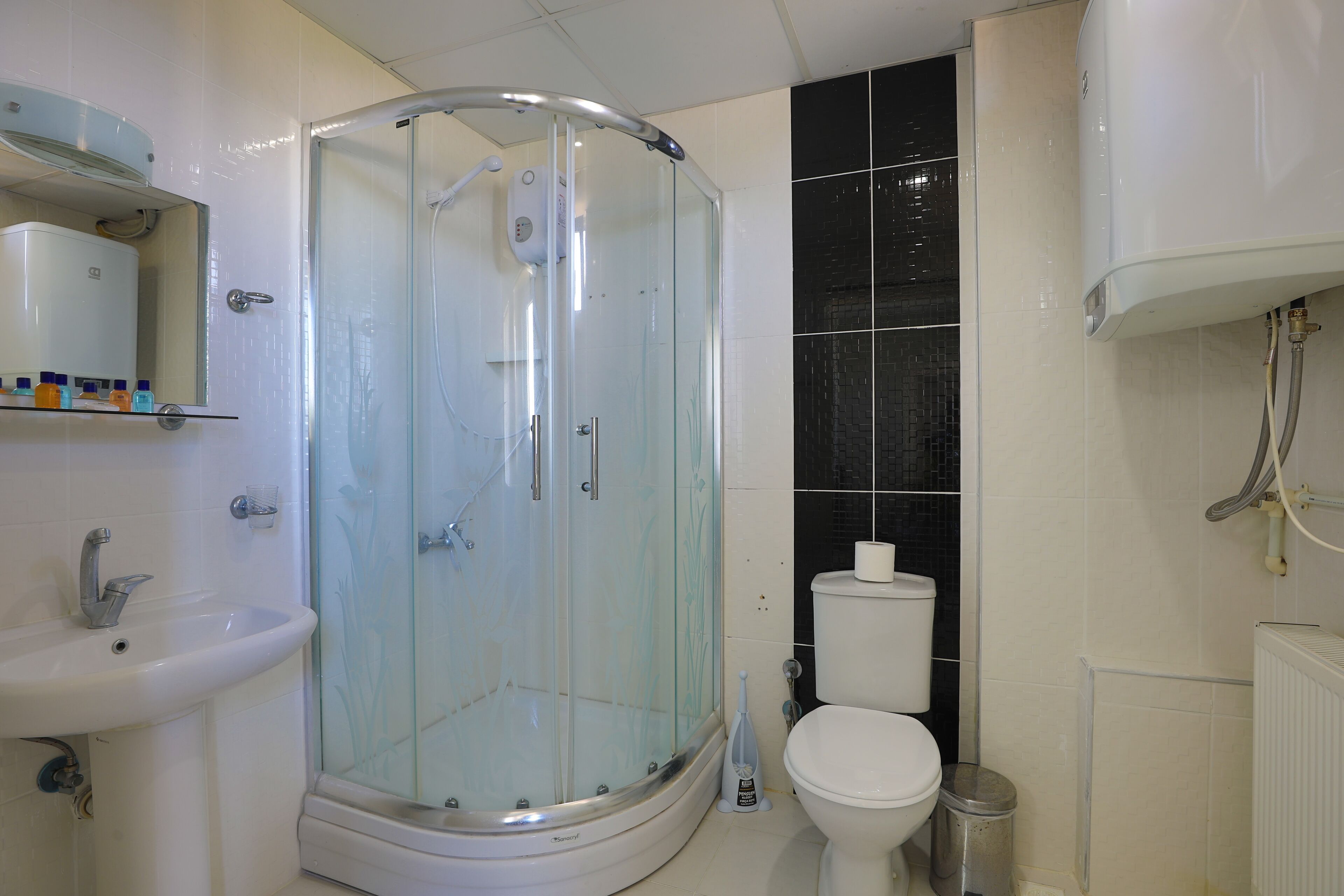 Shower, free toiletries, hair dryer, bathrobes