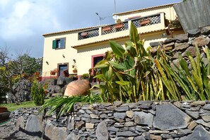 Un bâtiment à deux étages, avec un mur de pierre en premier plan, un grand pot et diverses plantes.