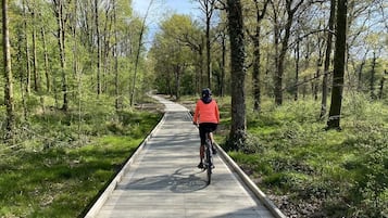 Una persona pedaleando en bicicleta por un camino pavimentado bordeado de árboles.