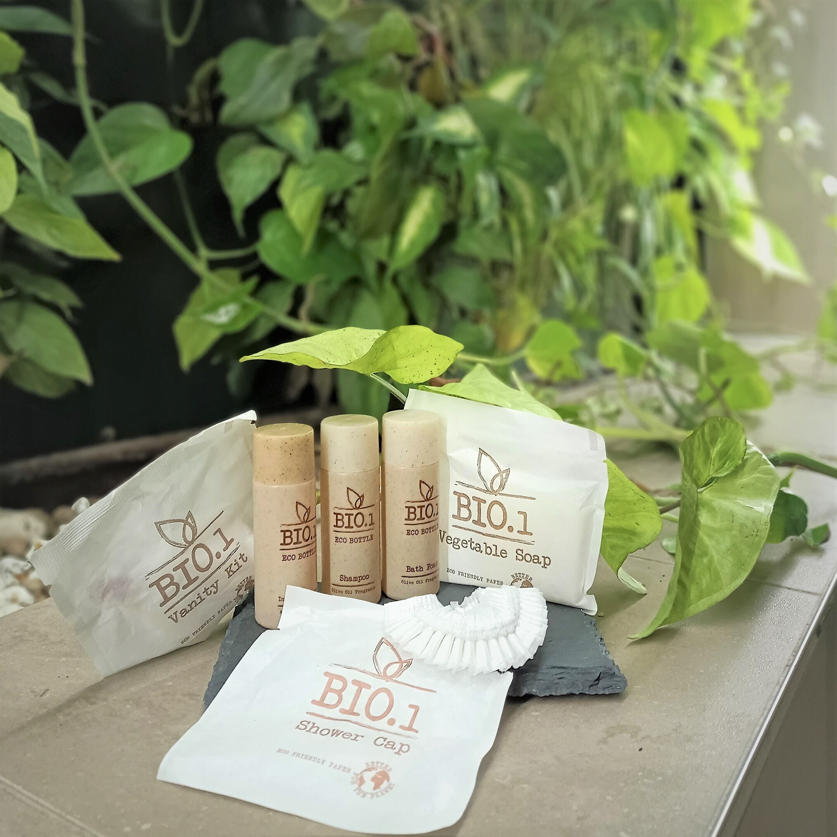 shower, free toiletries, hair dryer, bidet