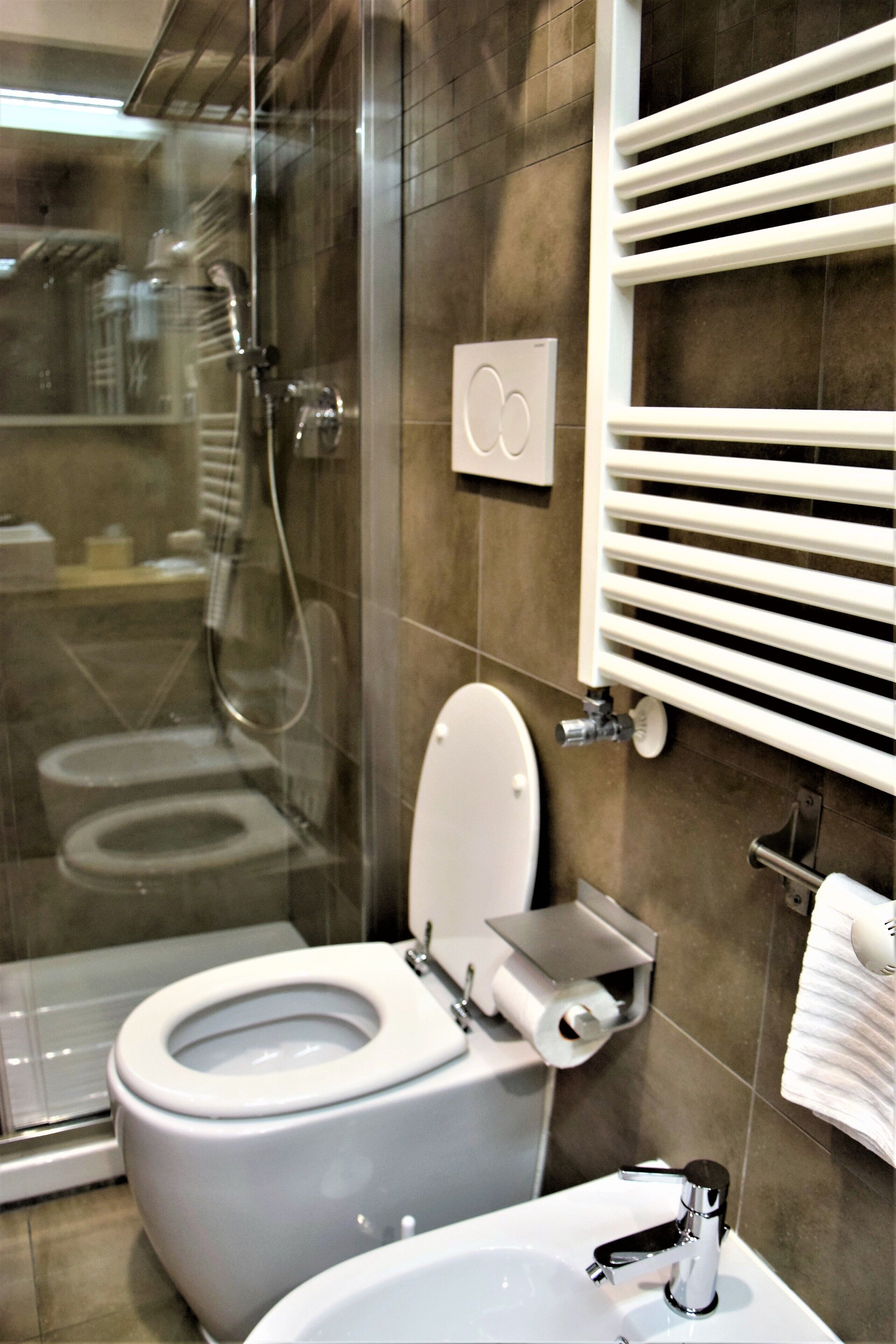 shower, free toiletries, hair dryer, bidet