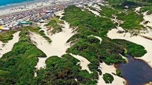 Ett flygbildsbild av ett kustområde med sandstränder, tät grönskande vegetation och en flod.