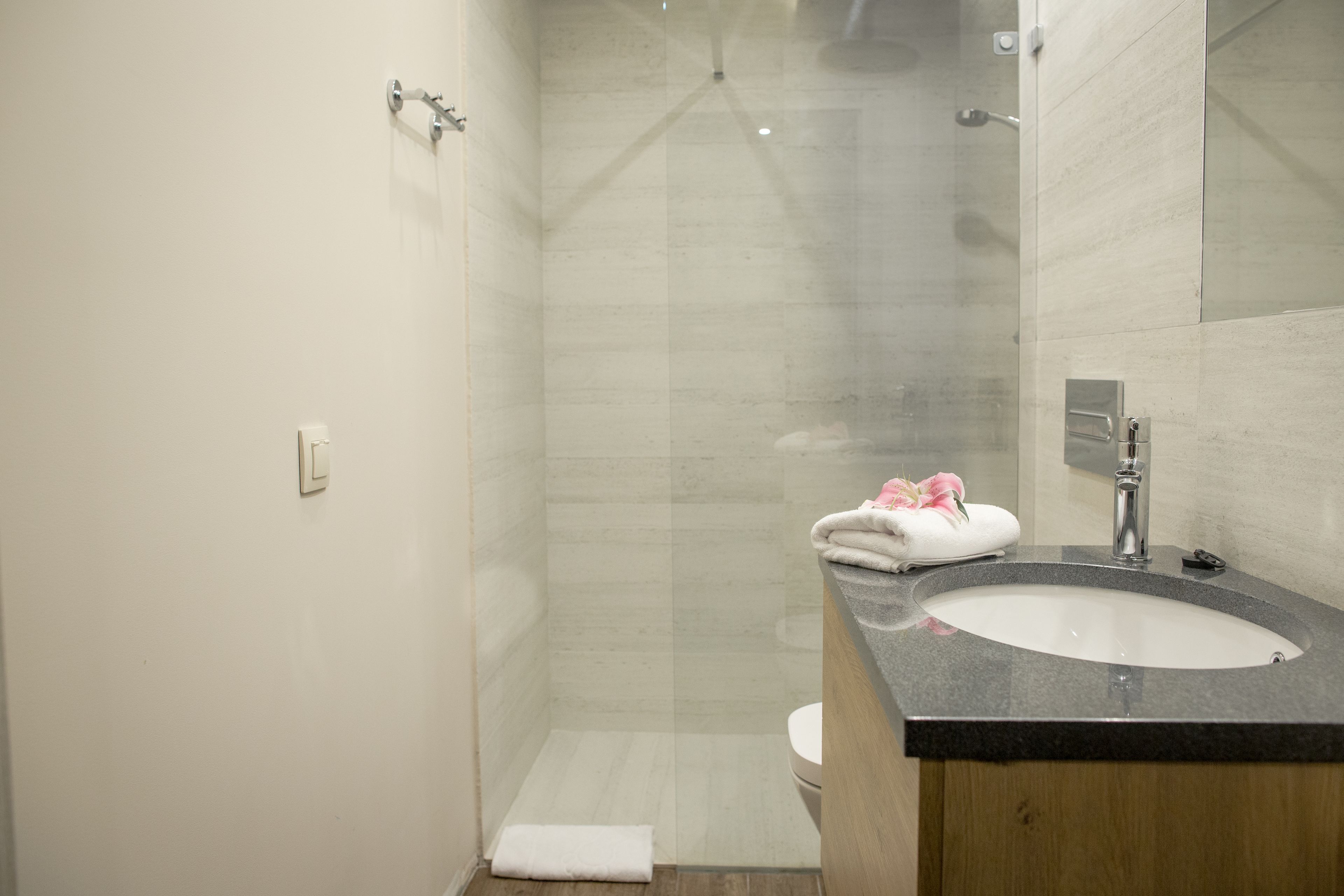 classic double room | bathroom | free toiletries, hair dryer, towels