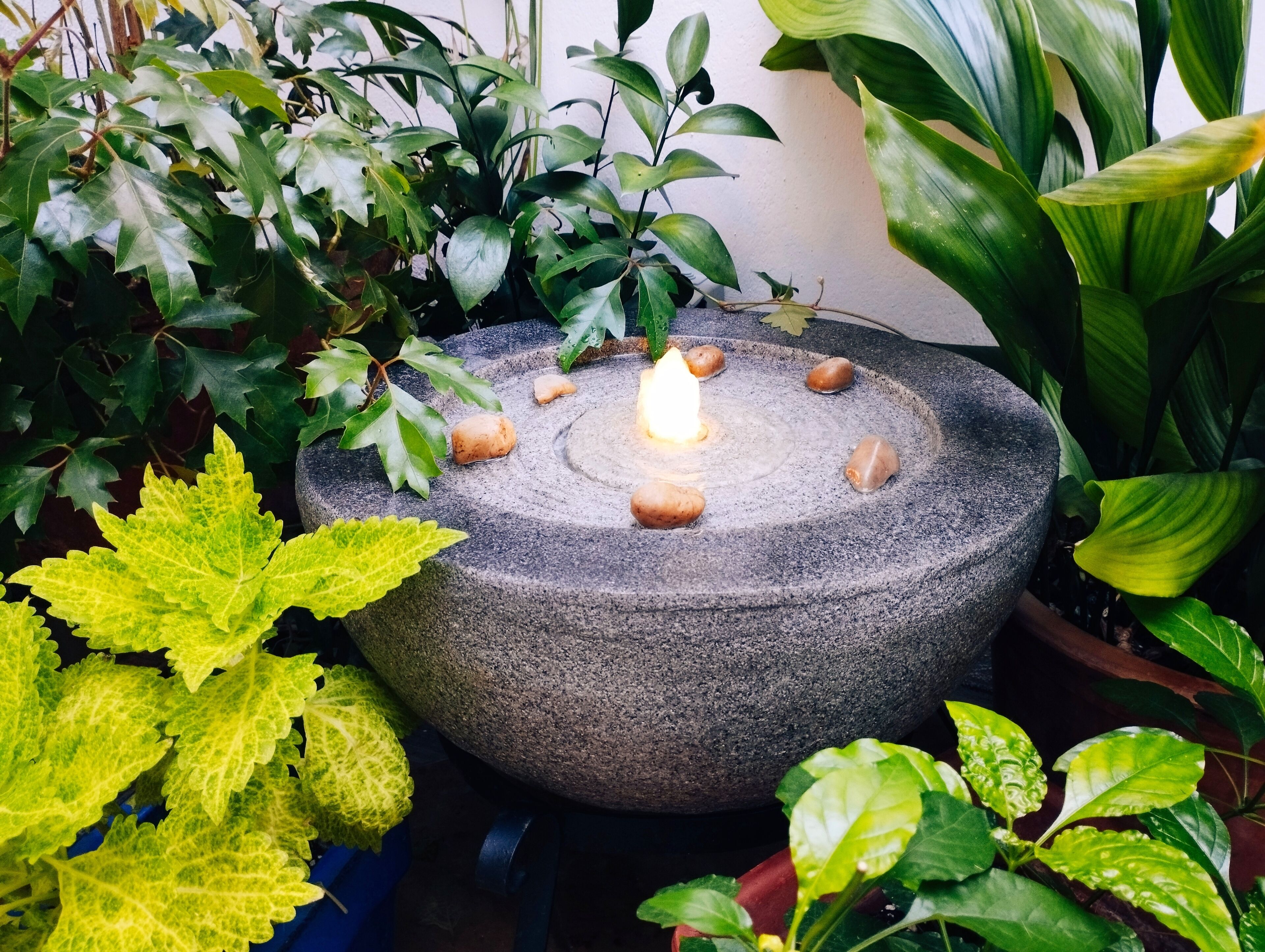 Photo - Casa Campana