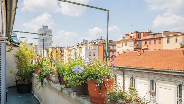 A rooftop terrace with potted plants and a view of surrounding buildings. - Milan Retreats - Porta Venezia (Milan)