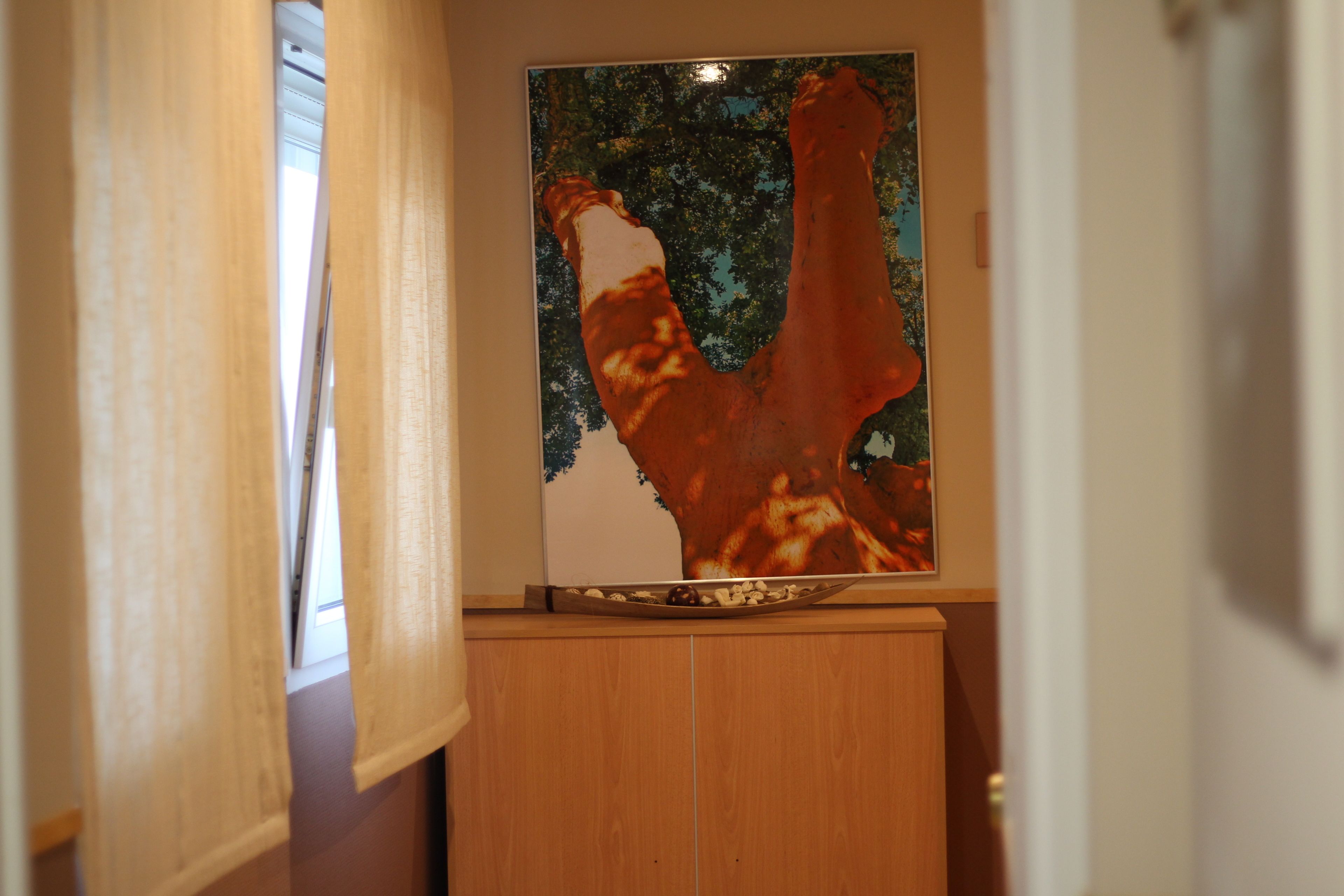 Photo - Hostal Goyesco Plaza