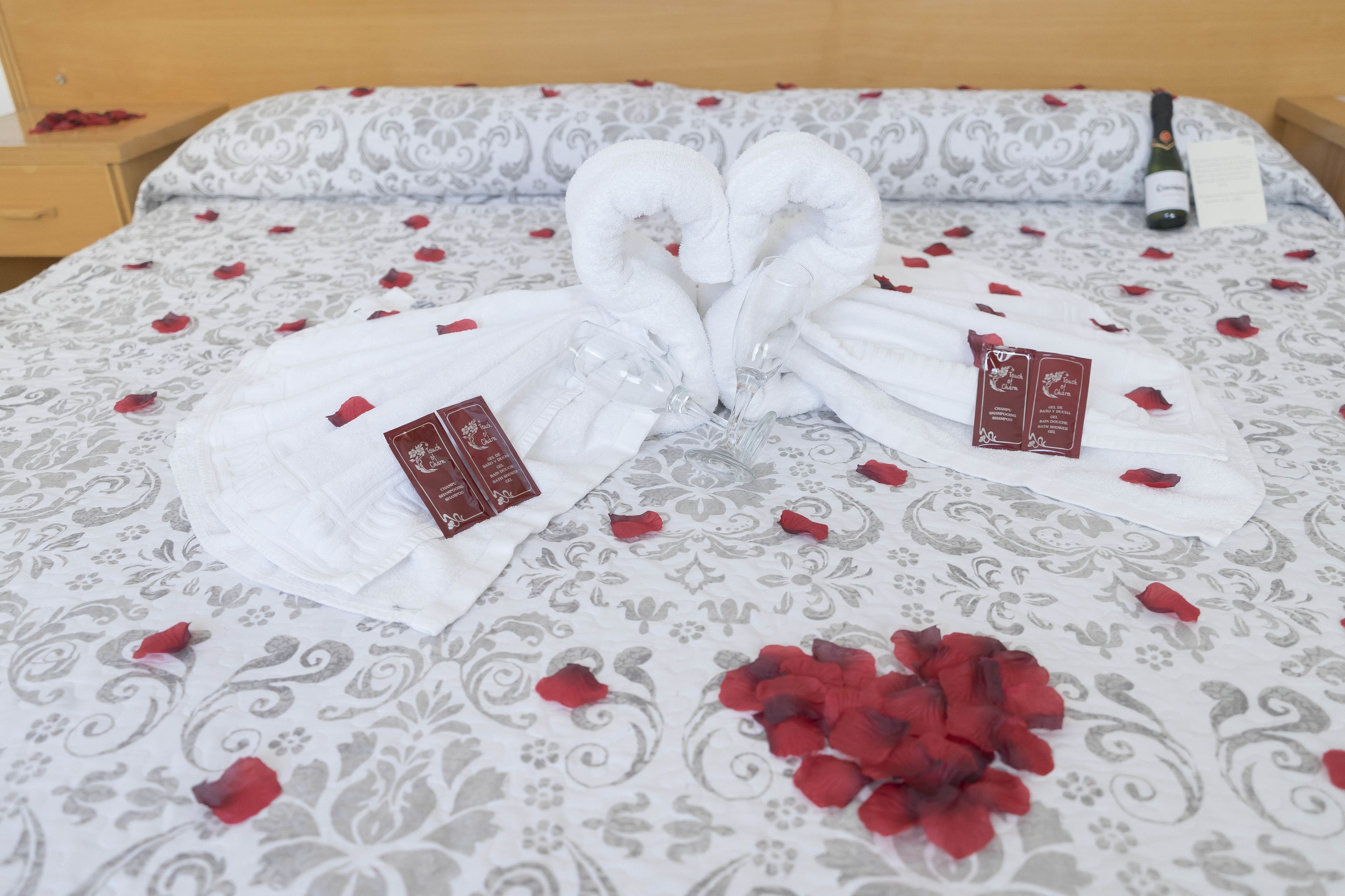 Photo - Hostal Goyesco Plaza