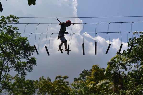 Una persona caminando sobre un puente colgante con arneses de seguridad, rodeada de árboles y un cielo despejado.