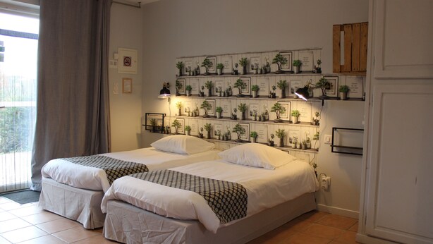 Habitación de hotel con dos camas, un ventanal con cortinas, una estantería con plantas y un armario de madera.