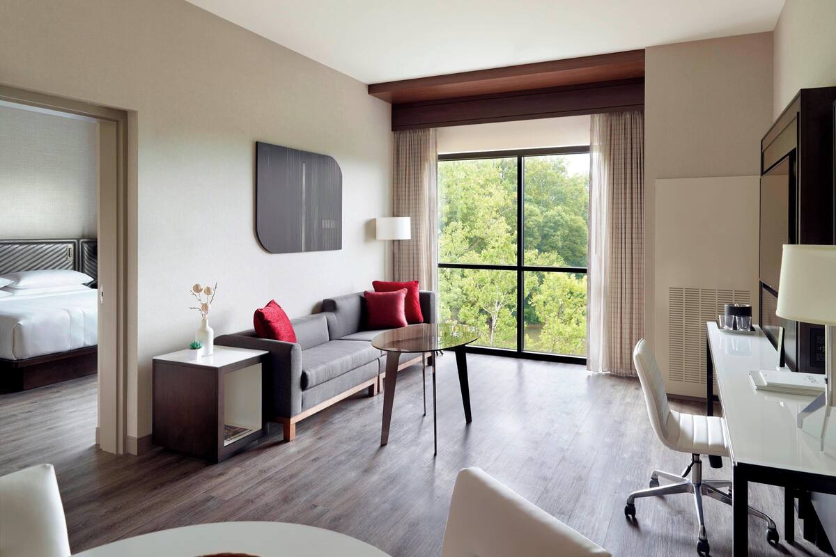 Habitación de hotel con cama, sofá, escritorio y silla. Se ve una ventana con vista a árboles.