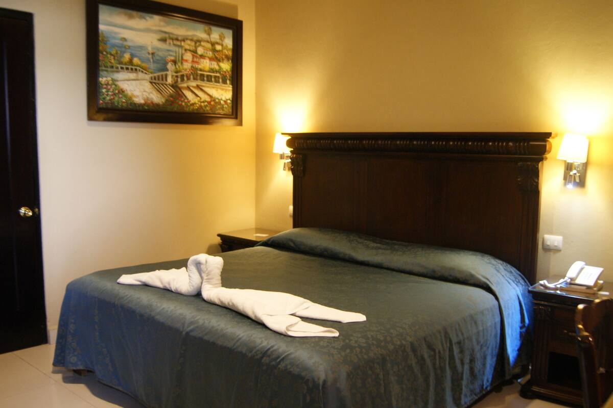 Standard Single Room, 1 Double Bed | In-room safe, desk, iron/ironing board (on request), free WiFi