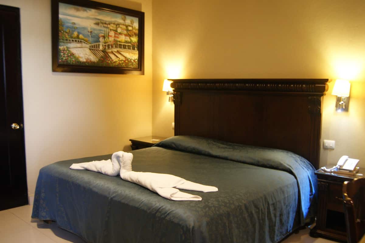 Standard Single Room, 1 Double Bed