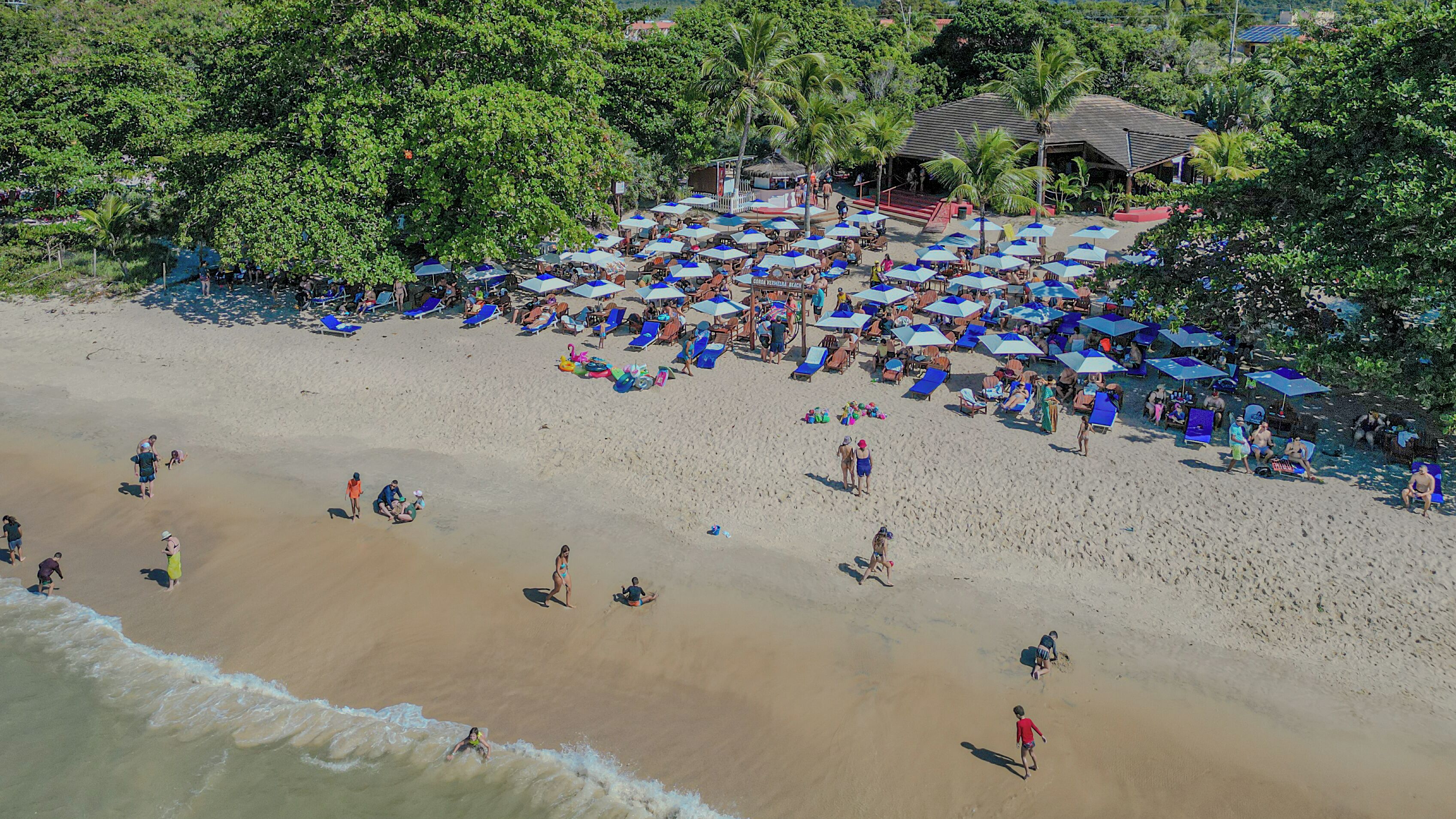 A beach with numerous umbrellas and lounge chairs, indicating a resort setting.