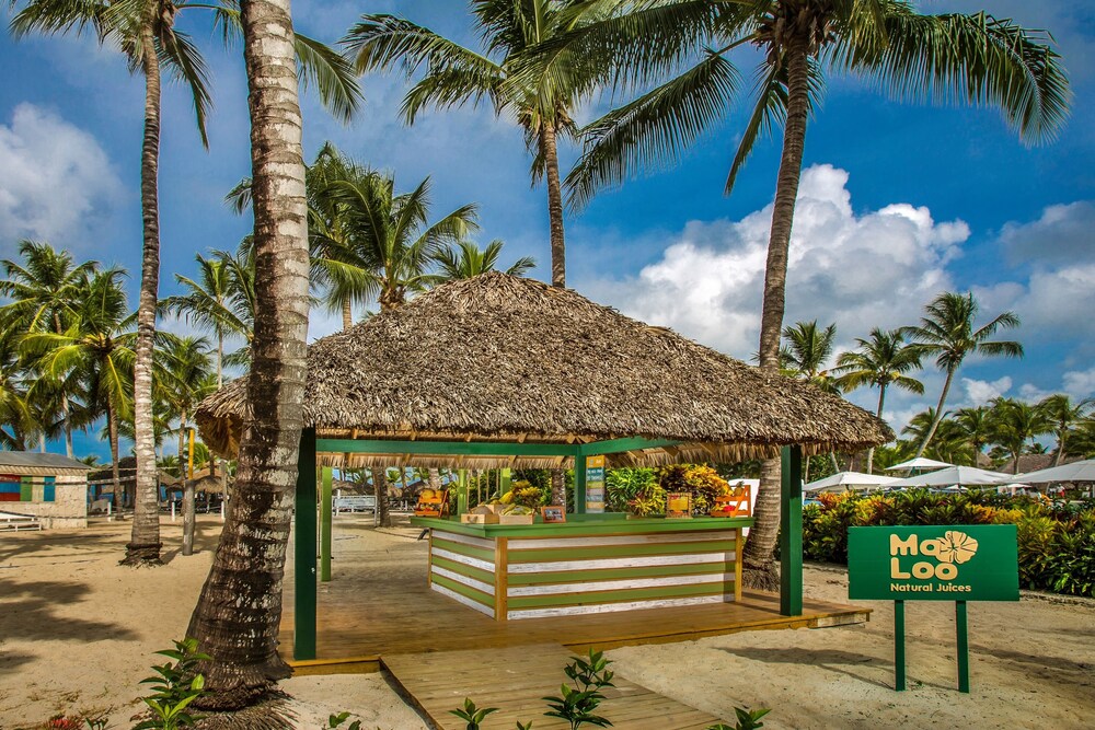 Catalonia Royal La Romana - All Inclusive - Adults Only 3