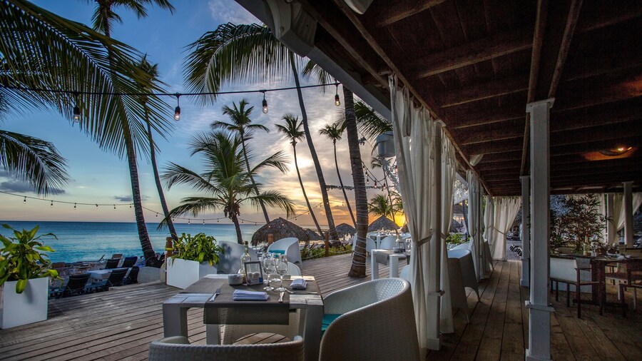 Catalonia Royal La Romana - All Inclusive - Adults Only