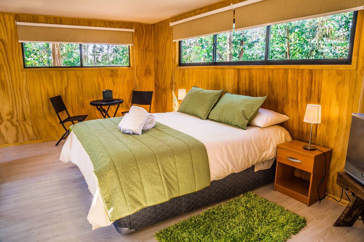 Cabin Tiêu chuẩn, phòng tắm riêng | Minibar, bàn, bàn ủi/dụng cụ ủi quần áo