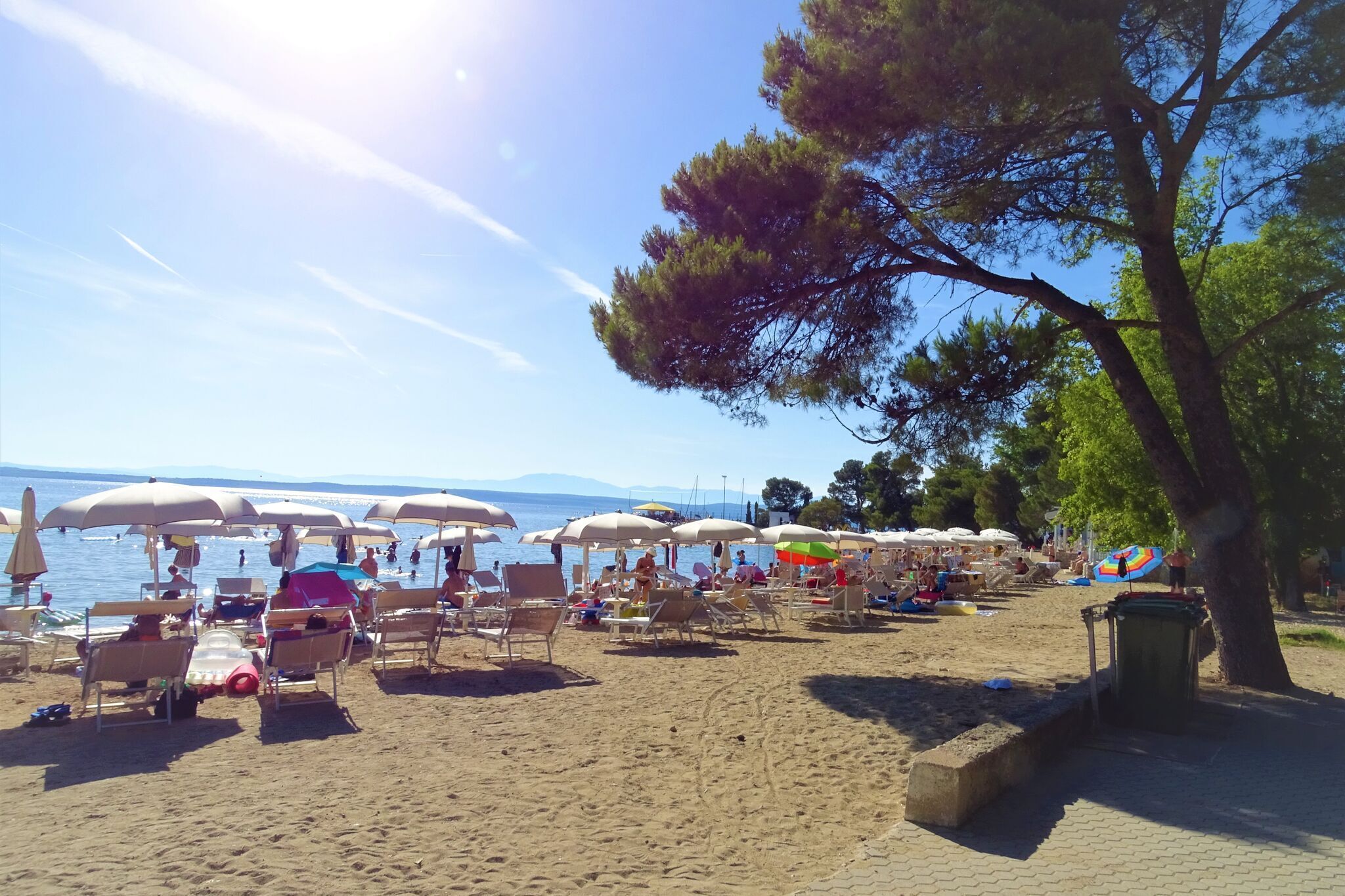 Una playa con hileras de sombrillas y sillas.